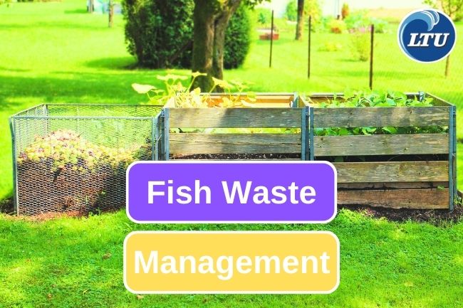 Here Is What You Can Do for The Fish Waste Management